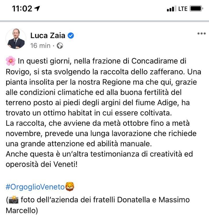 post Luca Zaia Zafferano polesano