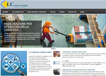 Larizza Consulting